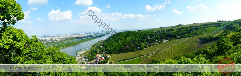 Ausflug zum Kahlenberg und Leopoldsberg, über den Nasenweg zum Kahlenbergerdorf