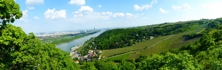 Ausflug zum Kahlenberg und Leopoldsberg