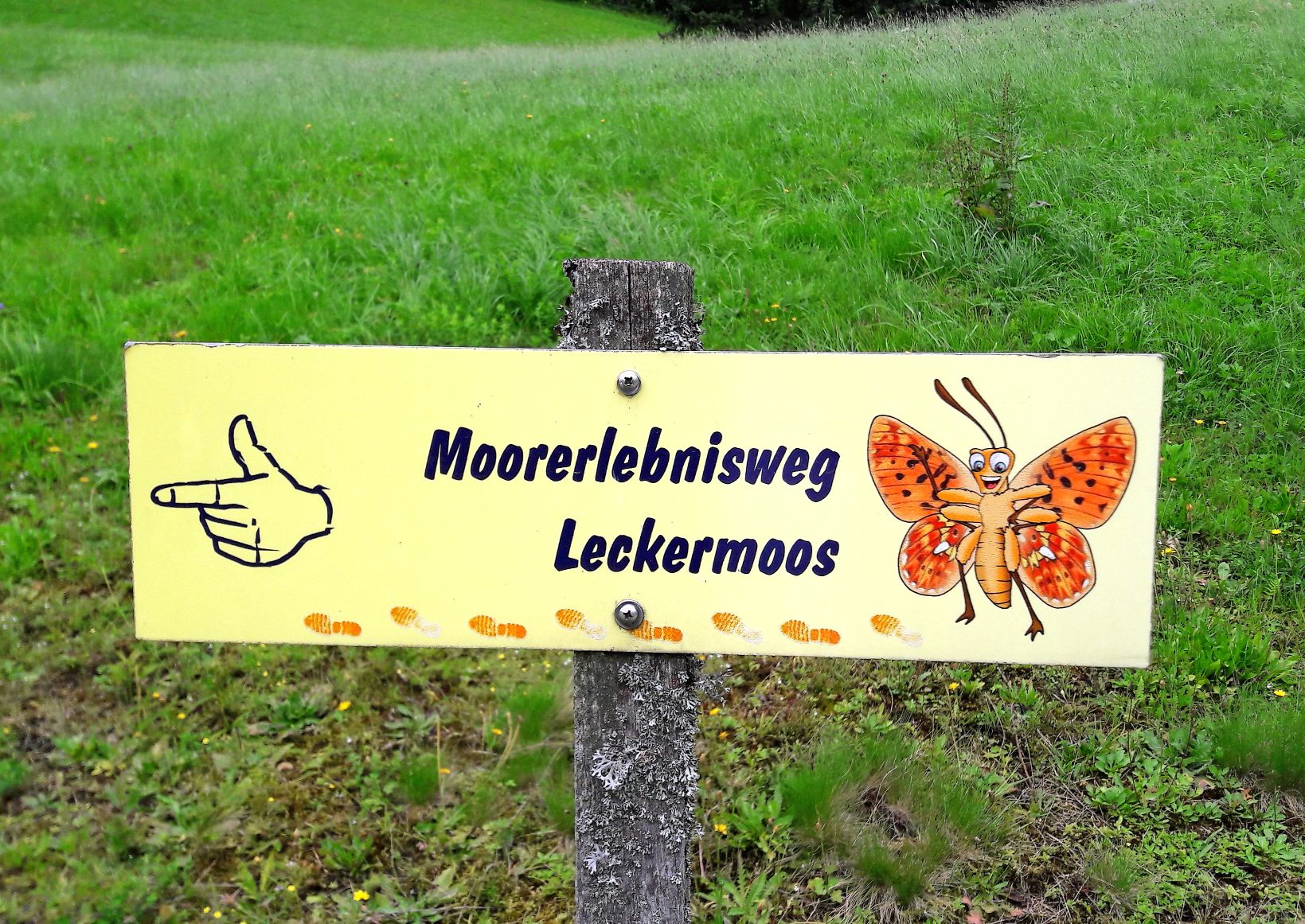 Moorerlebnisweg Leckermoos
