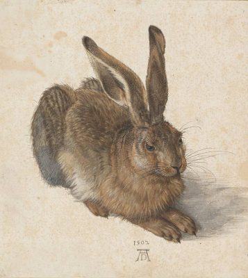 Dürer-Ausstellung in der Albertina