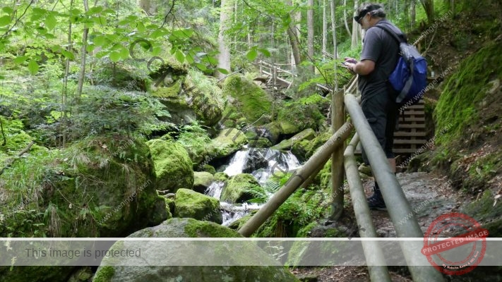 ein paar Tage im Waldviertel