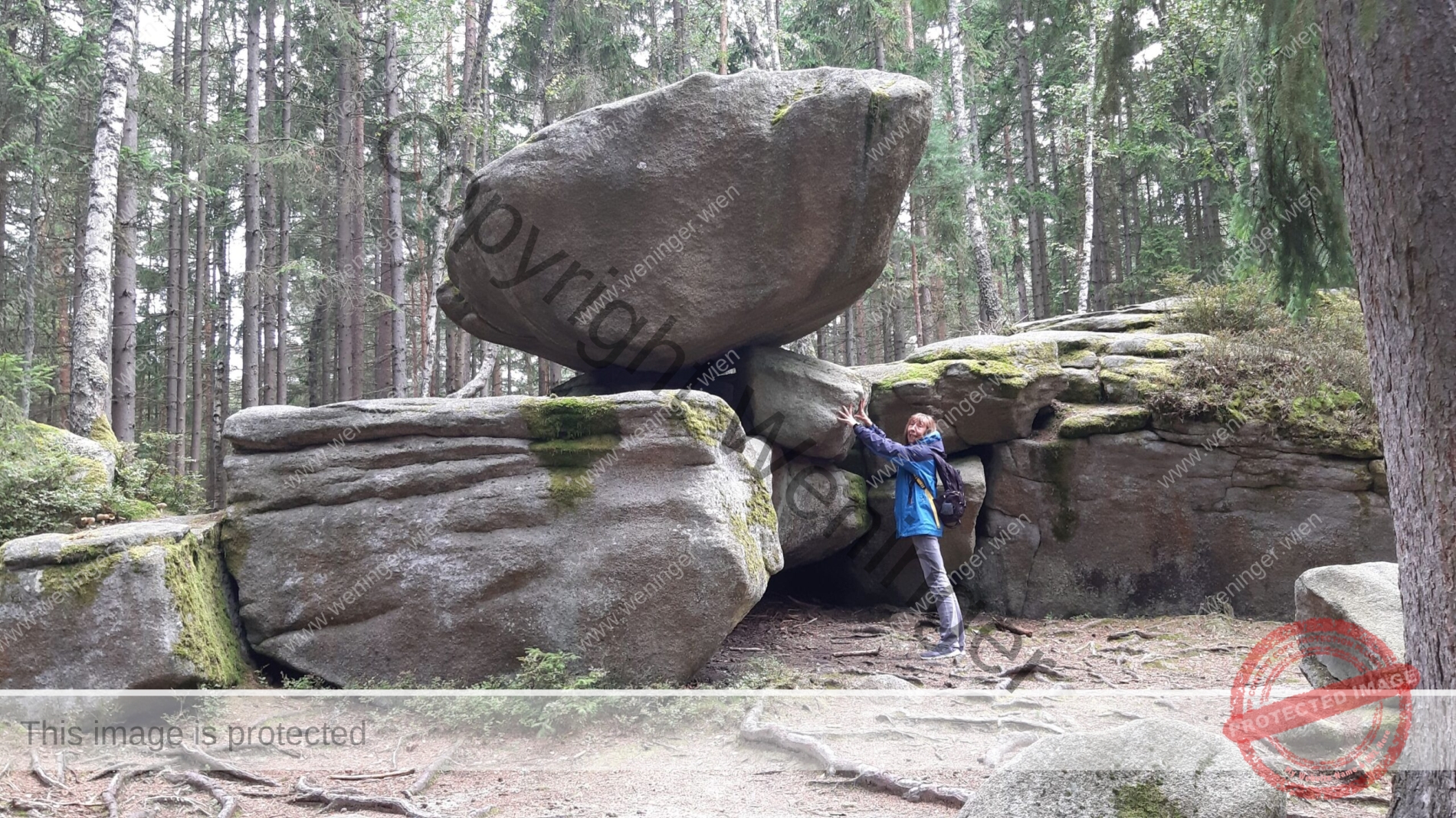 wieder im Waldviertel