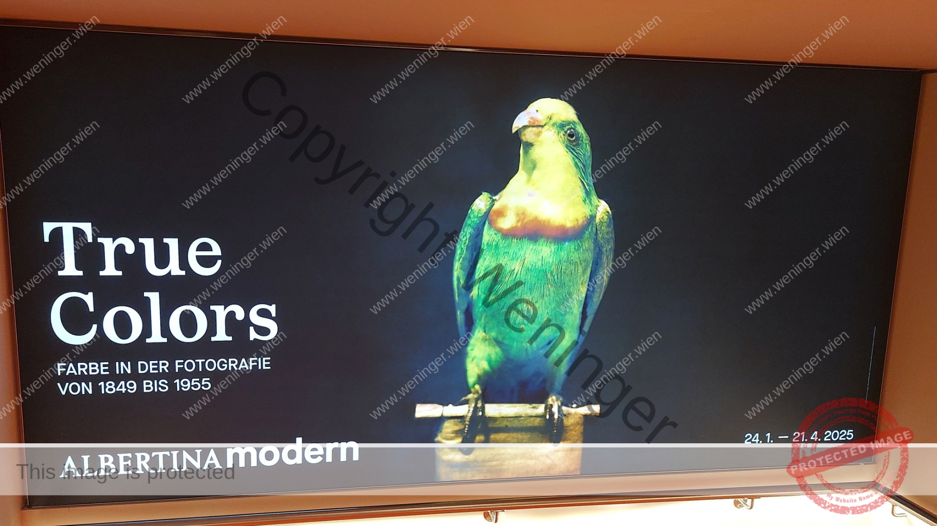 True Colors – Ausstellung