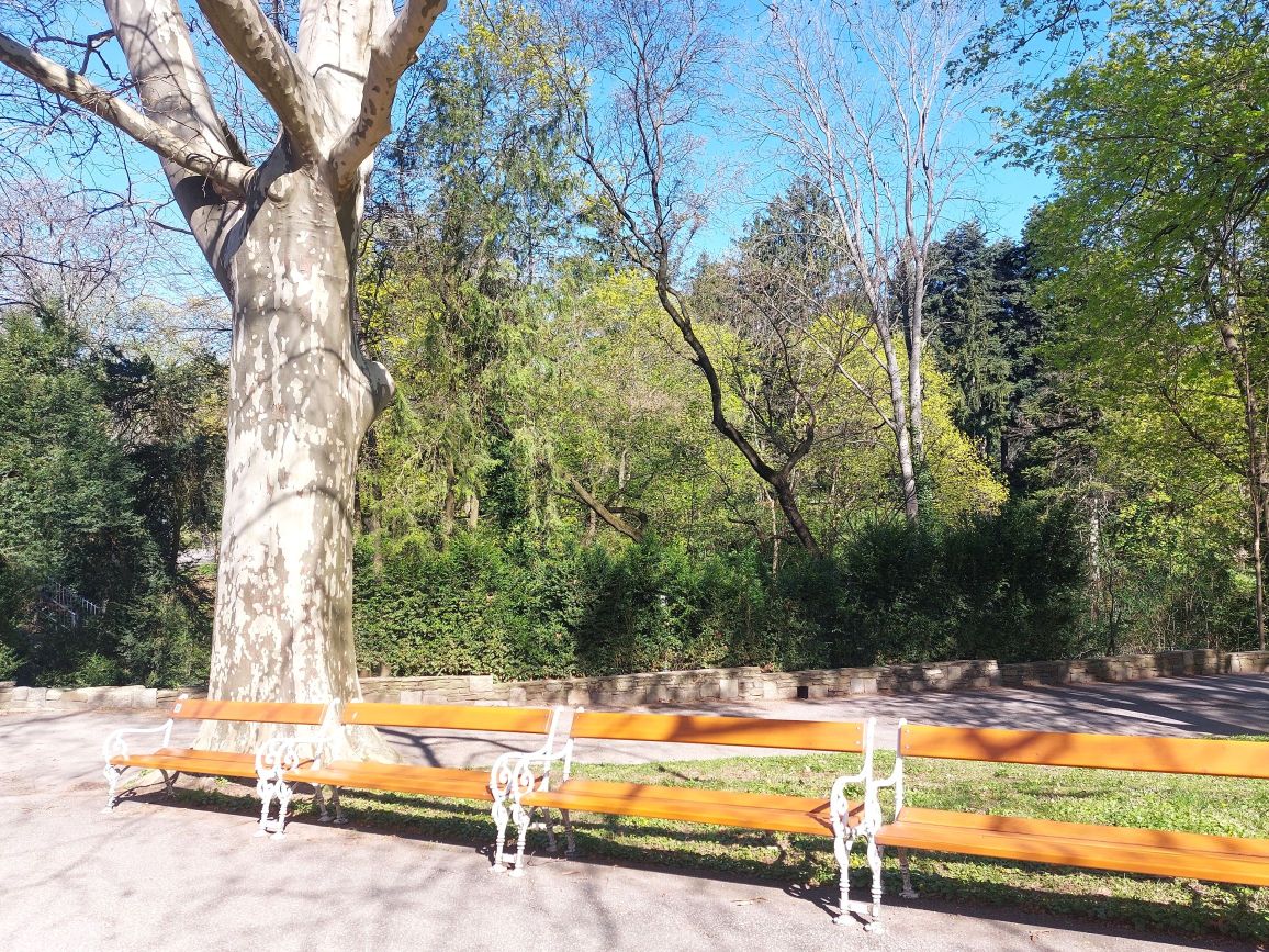 10.000 Schritte durch Wiener Parks