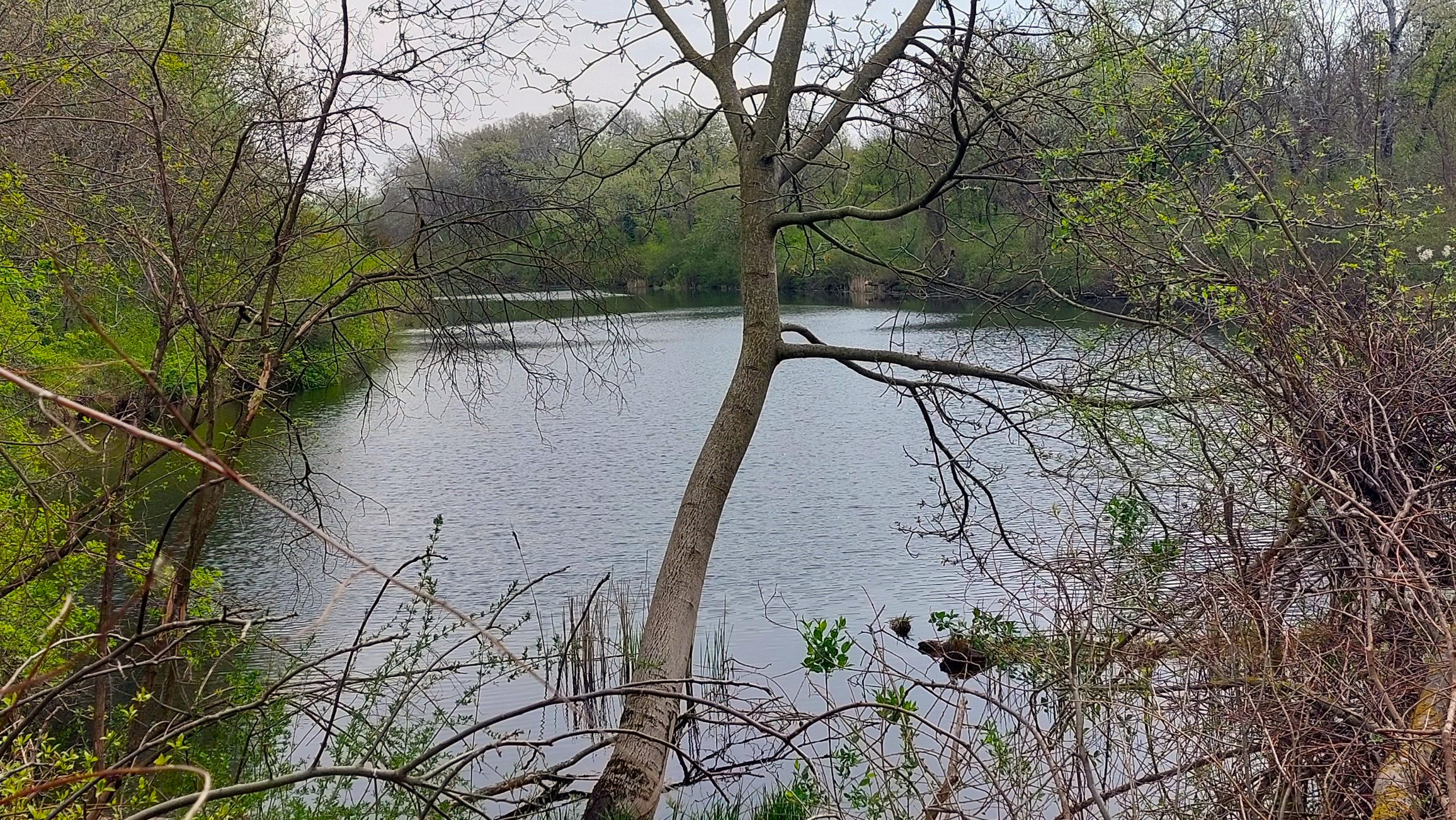 Rundumadum Wien: Etappe 17+18