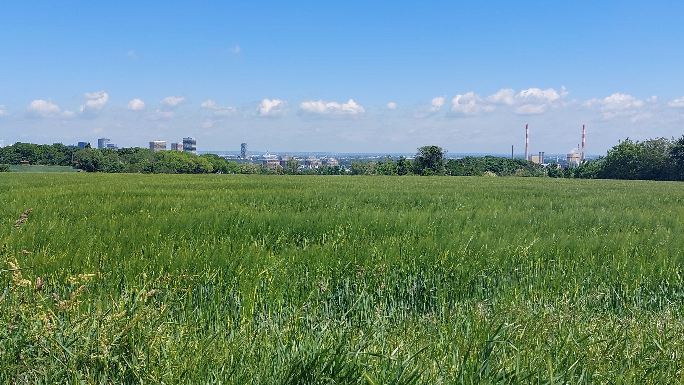 Rundumadum Wien: Etappe 10+11