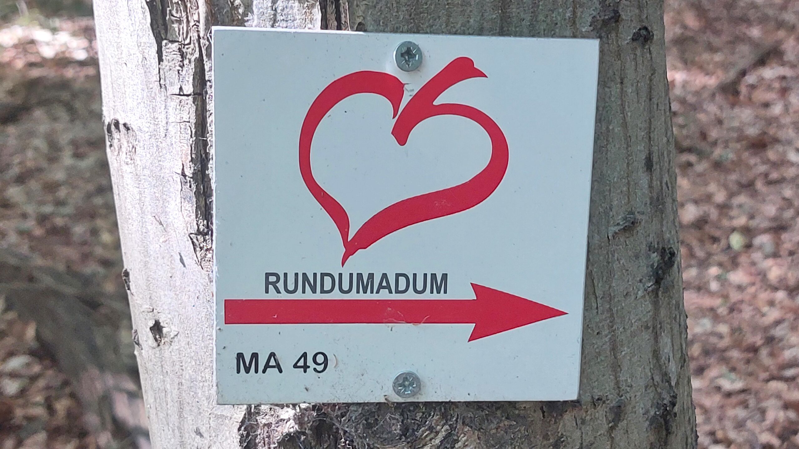 Rundumadum Wien – ALLE ETAPPEN  geschafft!