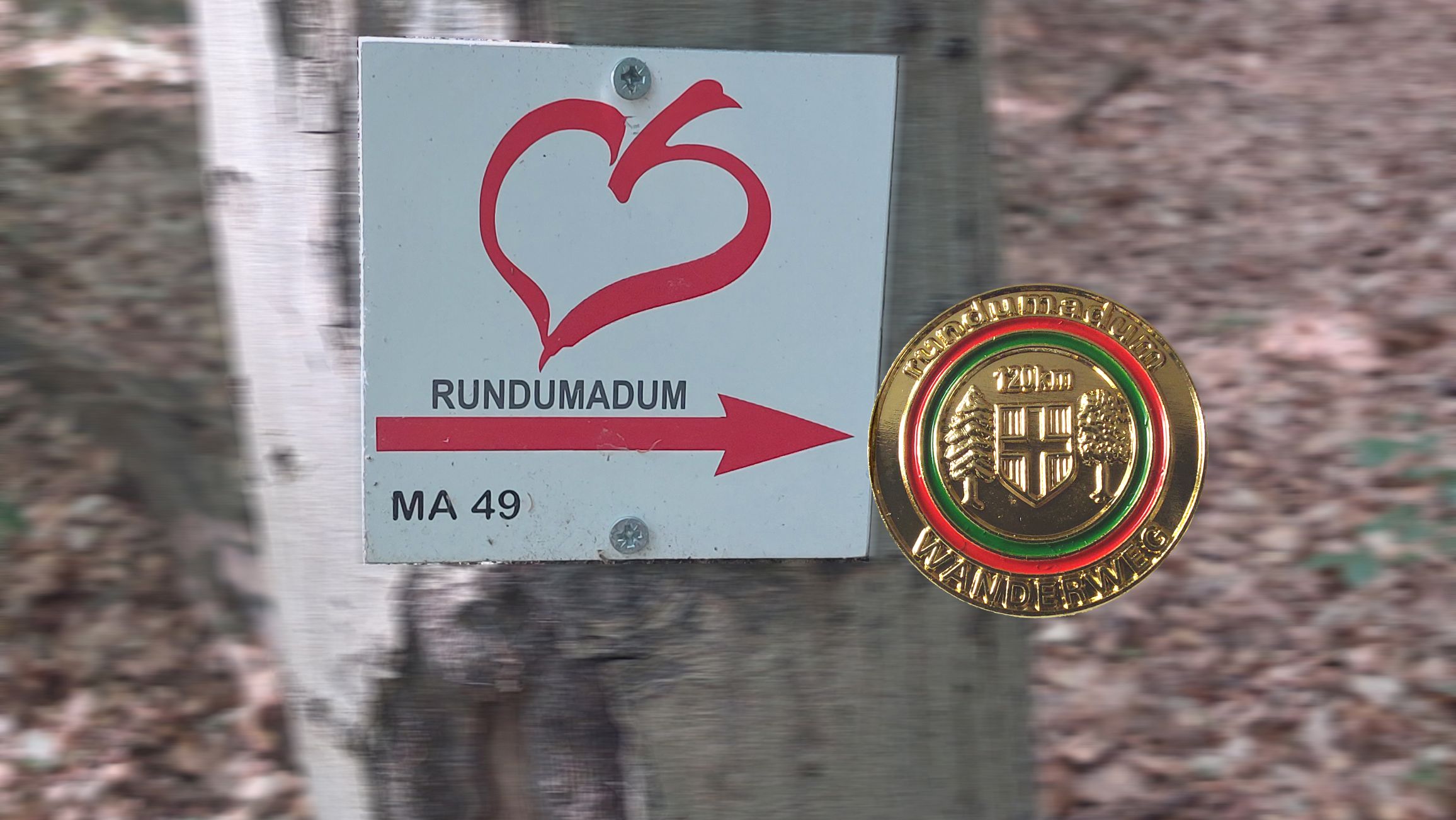 Rundumadum Wien – ALLE ETAPPEN  geschafft!