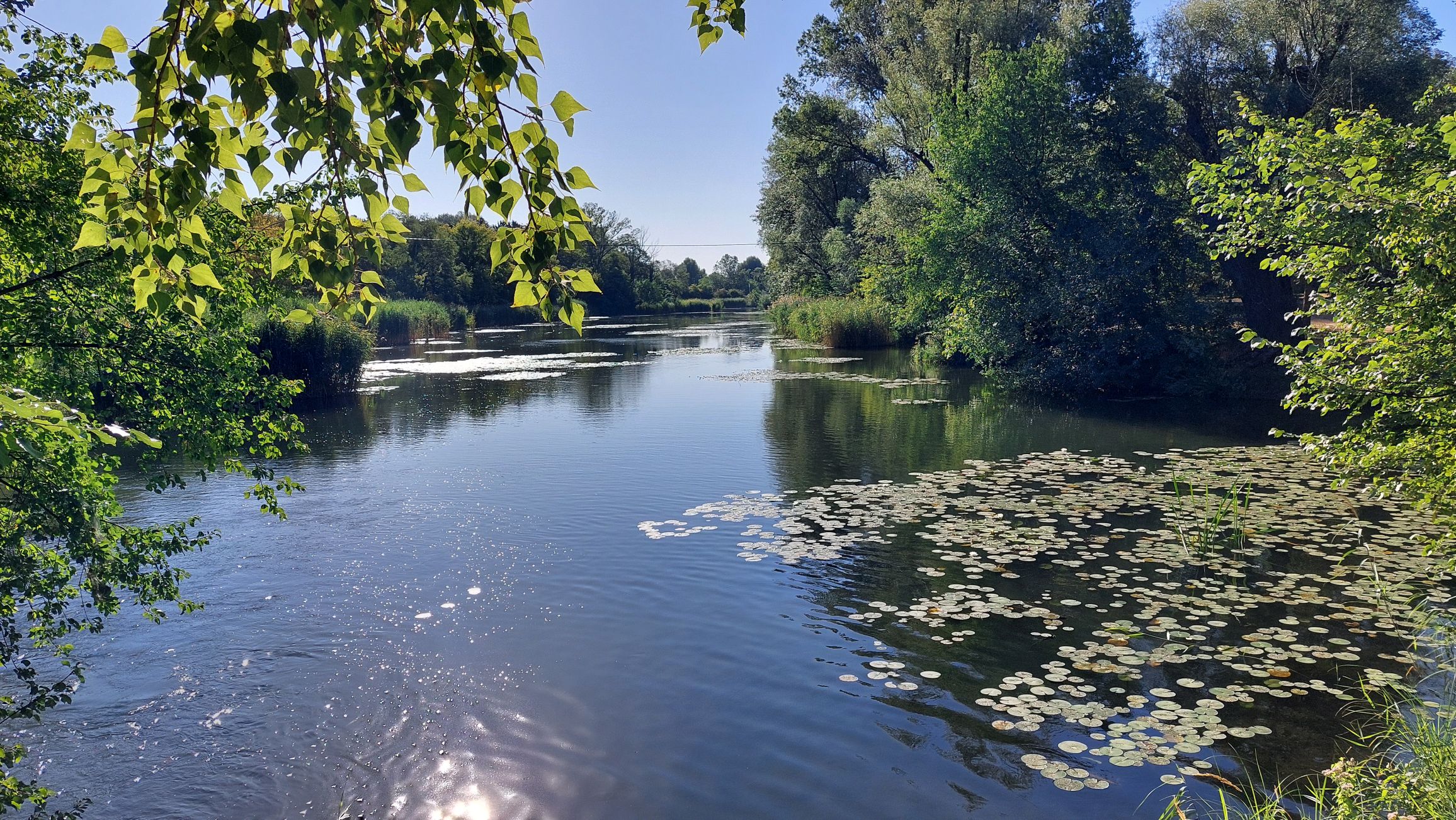 Am Mühlwasser