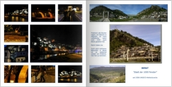 al201405008