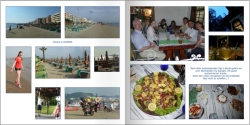 al201406021