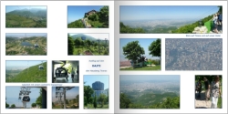al201406022