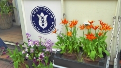 Amsterdam - Tulpenmuseum