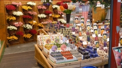 Amsterdam - Blumenmarkt