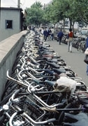 C077A_The_bund