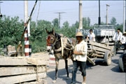 C247A_Xian_Westtour2