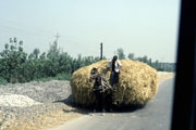 C248A_Provinz_Shaanxi