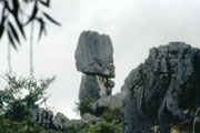 C288A_Stone_Forest