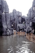 C294A_Stone_Forest5