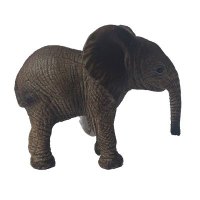 w787