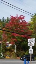 P1060281