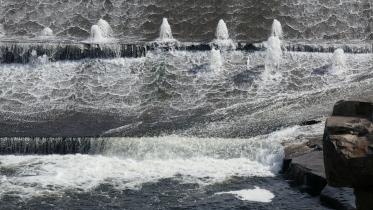 P1060299