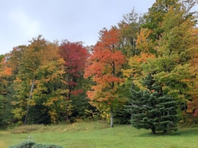 20190924_093210