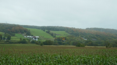 P1060455