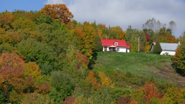 P1060981