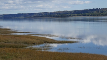 P1060993