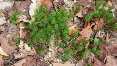P1070114
