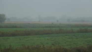P1070095