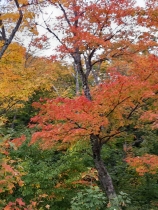 20191003_110750