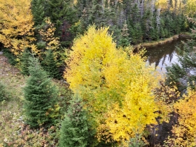 20191003_114834