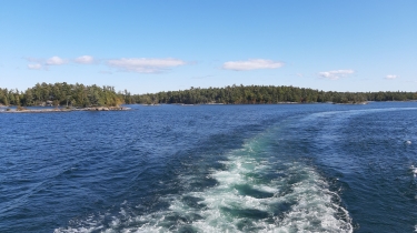 20191008_142651