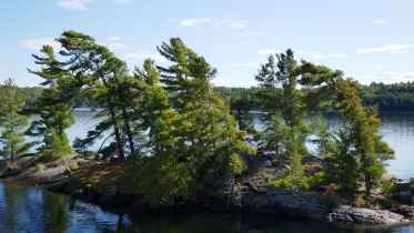 P1070619