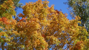 P1070704