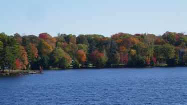 P1070782