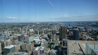 P1050852