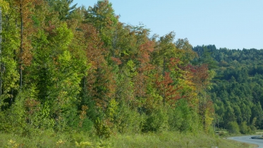 P1060066