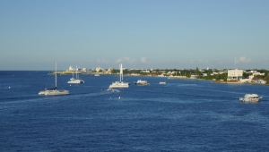 080_045_P1040549