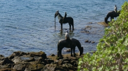 Lanzarote 201802_161
