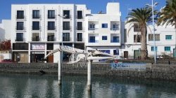 Lanzarote 201802_178
