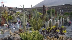 Lanzarote 201802_014