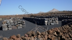 Lanzarote 201802_060