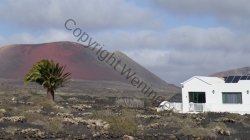 Lanzarote 201802_121