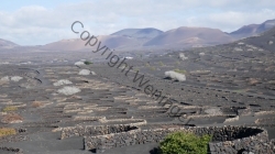 Lanzarote 201802_124