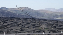 Lanzarote 201802_127