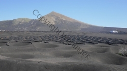 Lanzarote 201802_145