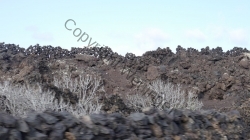 Lanzarote 201802_181